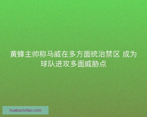 黄蜂主帅称马威在多方面统治禁区 成为球队进攻多面威胁点